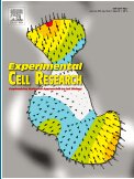 EXP CELL RES 实验细胞研究