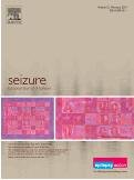 SEIZURE-EUR J EPILEP 癫痫：欧洲癫痫杂志